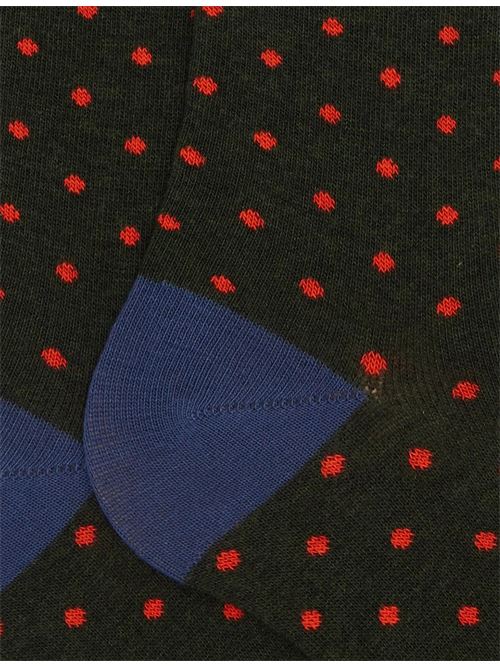 AP10301332654 FANTASIA gallo | AP10301332654 FANTASIA